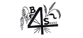 B4 Seeds